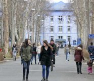 Univerzitet