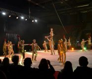 cirkus