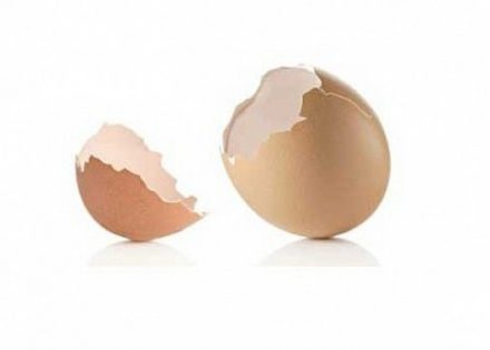 ljuske od jaja