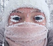 sibir