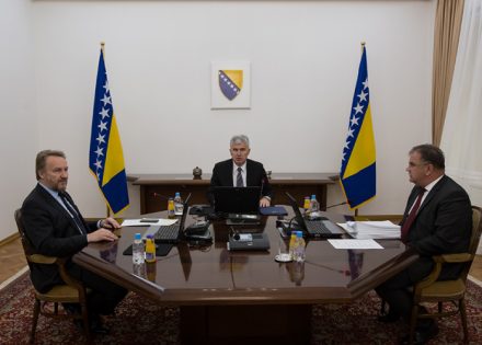 ambasadora