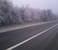 poledice