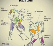 lopata