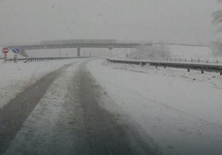 meteorolozi