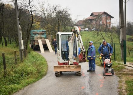 Starčevica