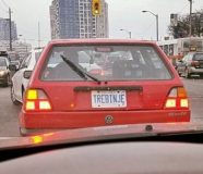 trebinjac