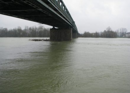 SAVA