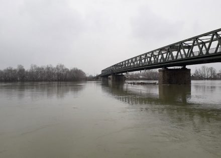 Sava