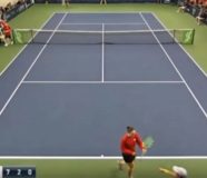 tenis