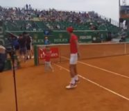 novak