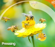 Pressing