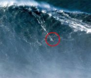 surfer