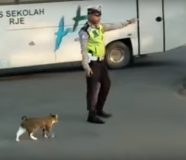 policajac