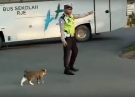 policajac