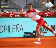 novak