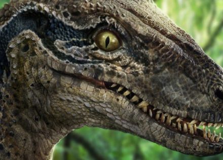 dinosaurus