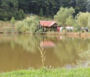 jezero