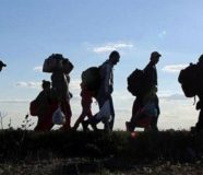 migranti