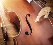 violina