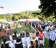 Dani-Vrbasa-festival