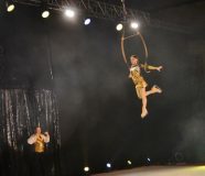 cirkusna