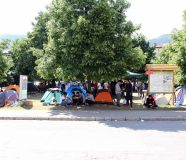 migranti