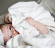 bebe