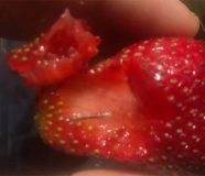 jagode