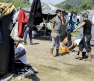migranti