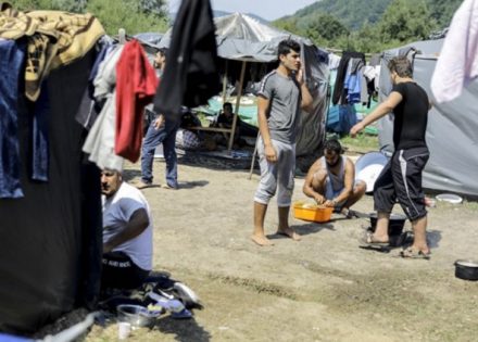 migranti