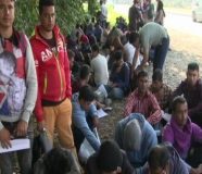migranti