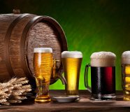 pivo