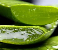 aloe