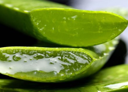 aloe