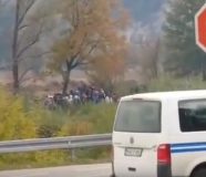 migranti