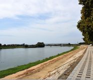 sava