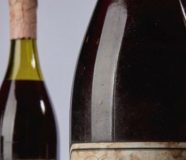 vino
