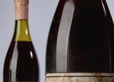vino