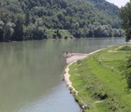 drina