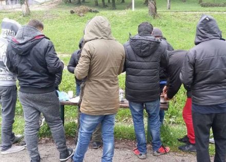 migranti