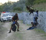 migranti
