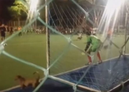 penal