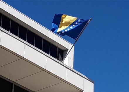 ambasadora