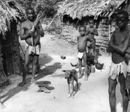 kongo