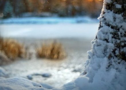 snijeg