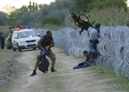 migranti