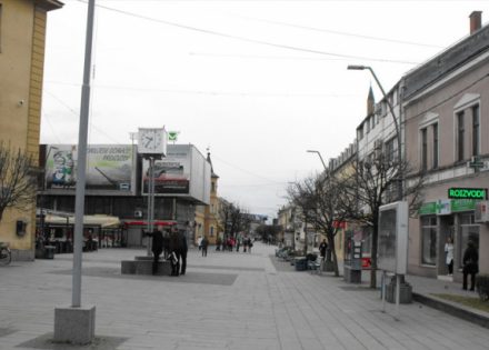 dubica