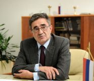 kasipović