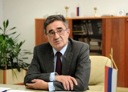 kasipović