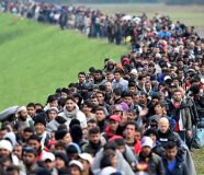 migranti